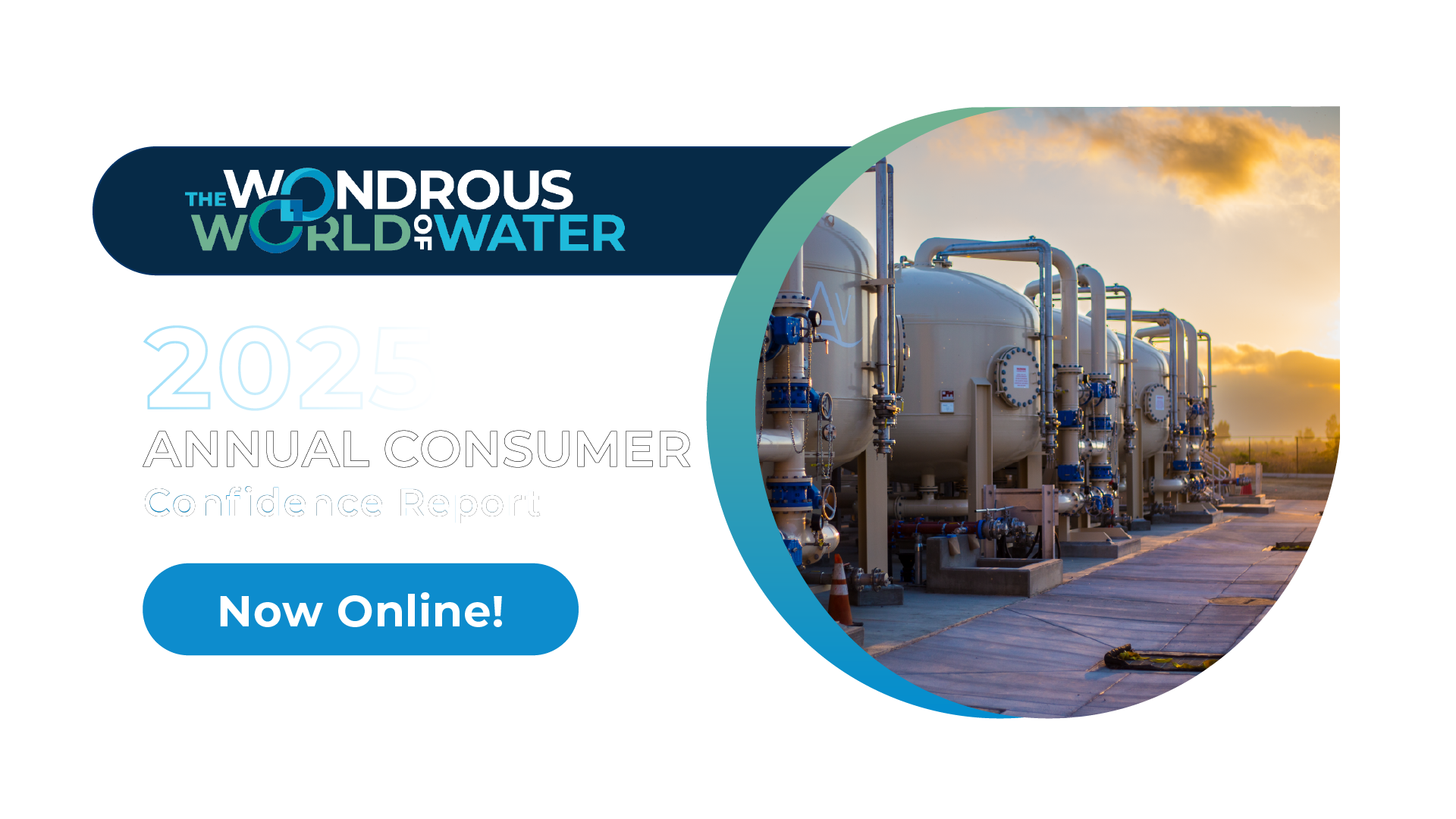 Annual Consumer Confidence Report