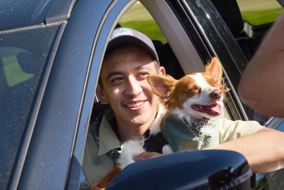 Flood Ready Freddy smiling and sitting in drivers seat of a car with medium sized white and brown dog poking out of the window