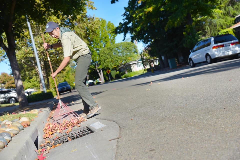 Flood Ready Freddy raking leaves away from a storm drain on a sunny day with trees in the background