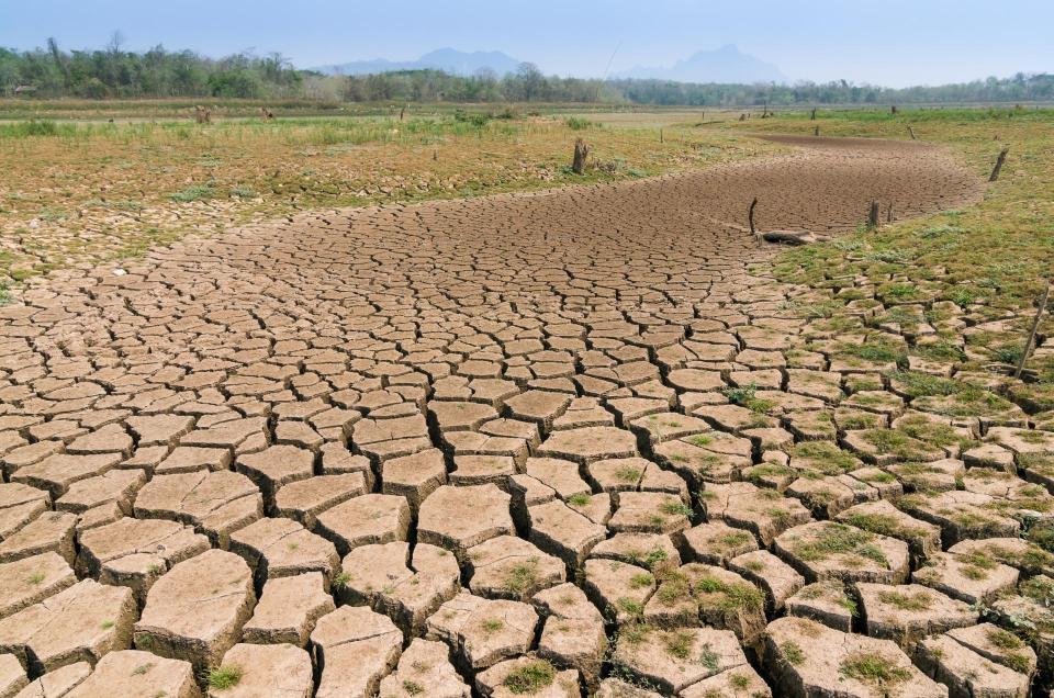 Cracked dry ground surrounded by dry grass