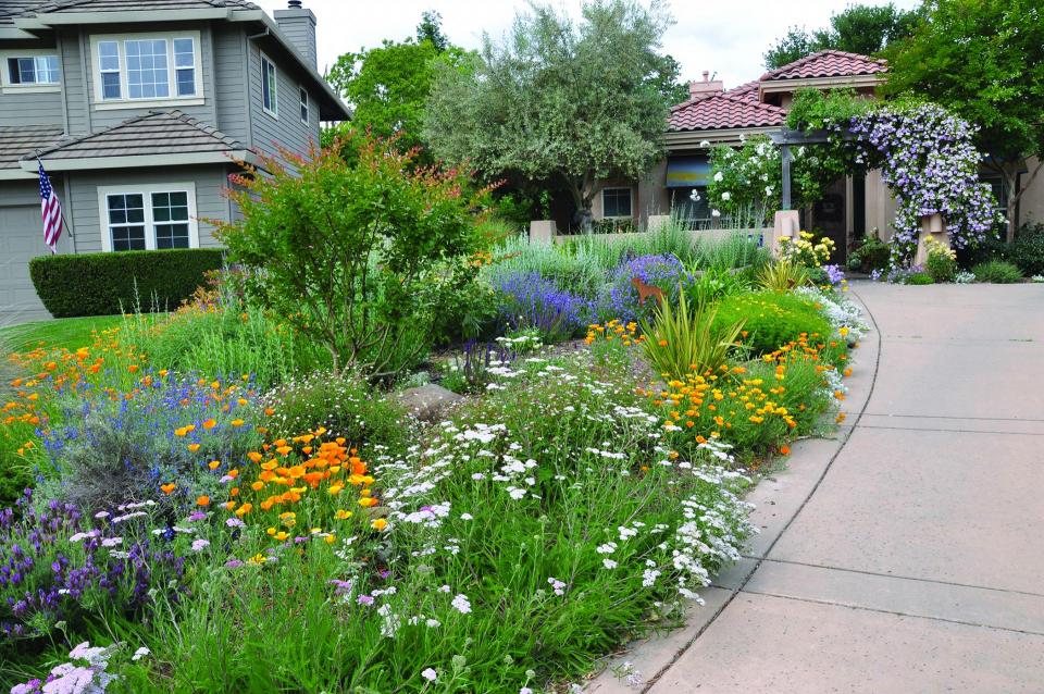 Front Yard of a home featuring native bushes and flowers