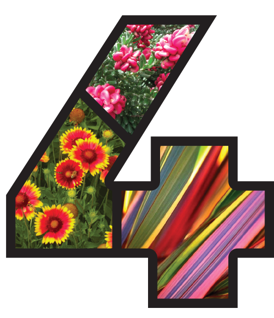 Numeral 4