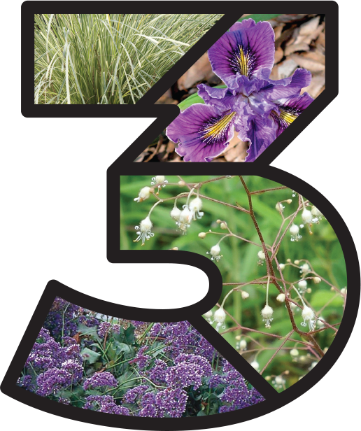 Numeral 3