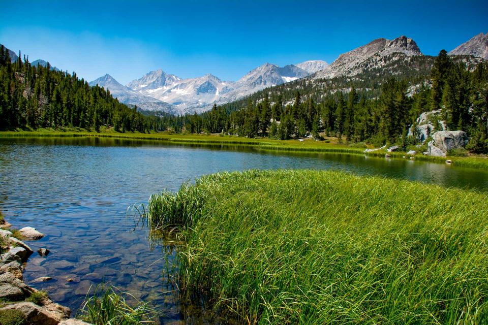 Blue lake with green grass, surrounded by tall trees and Sierra Nevada mountains in the background