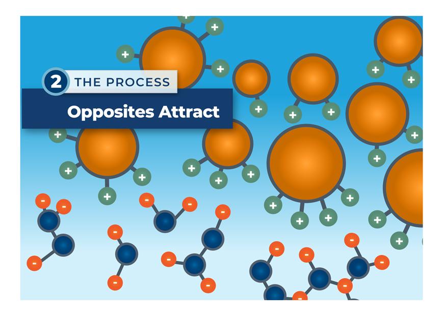 Infographic of the Ion Exchange  PFAS Treatment Process