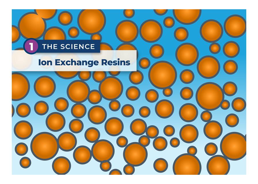 Infographic of the Ion Exchange  Science 