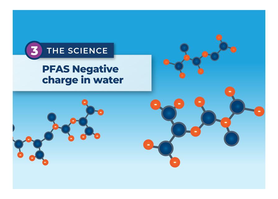 Infographic of the Ion Exchange  Science 
