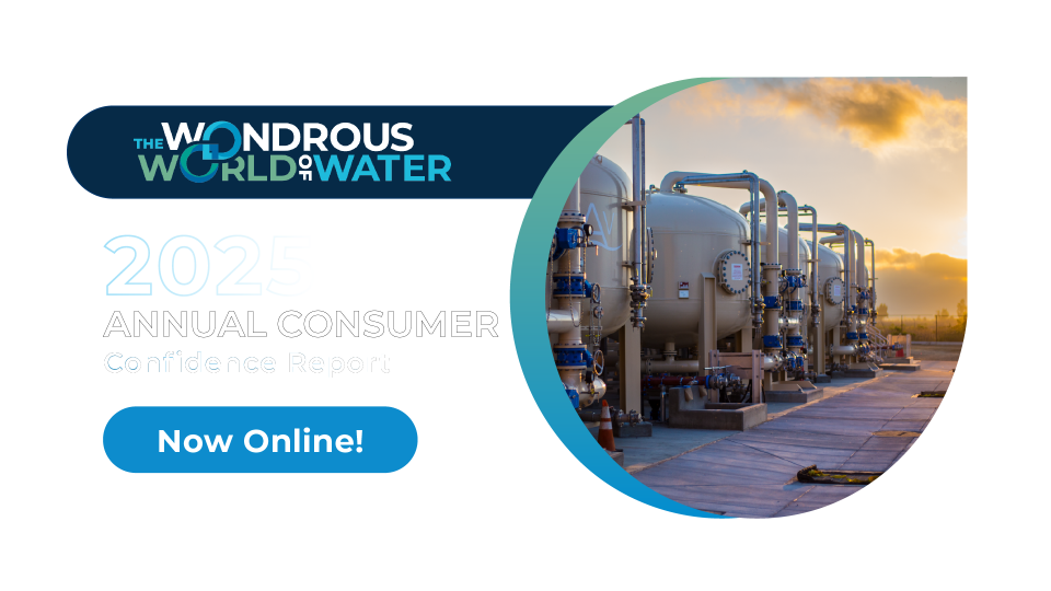Annual Consumer Confidence Report