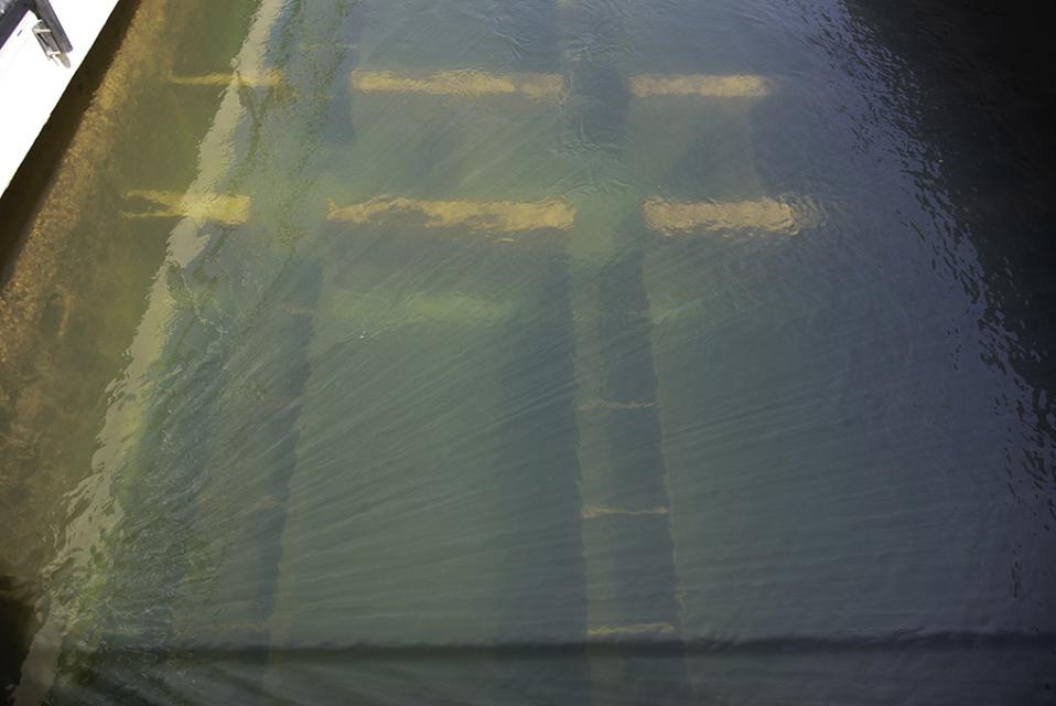 Close up of water in filtration bin