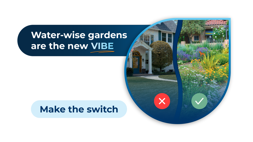 Water Efficient Landscape Conversion Rebate