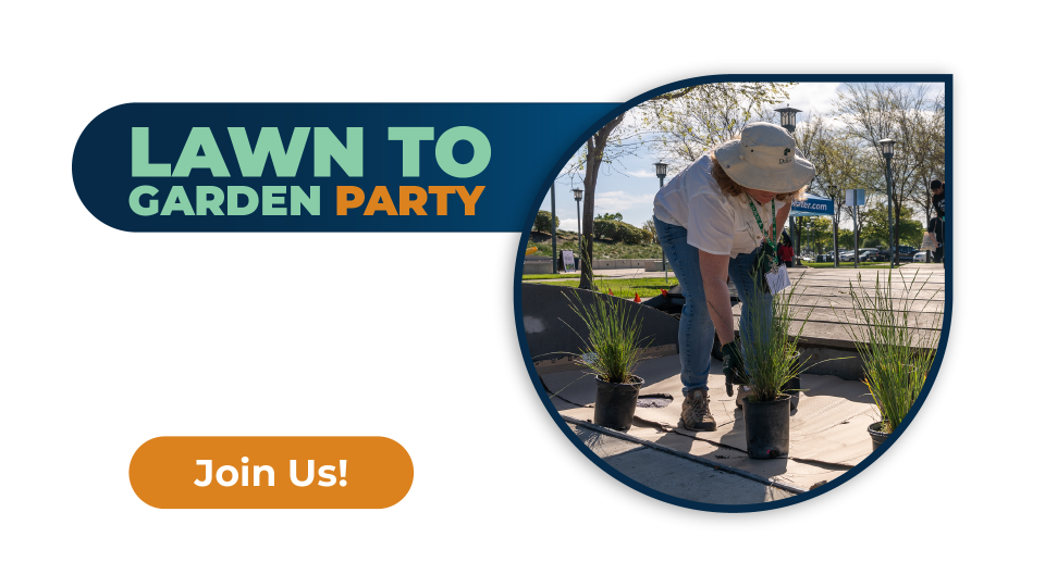 Lawn to Garden Party 