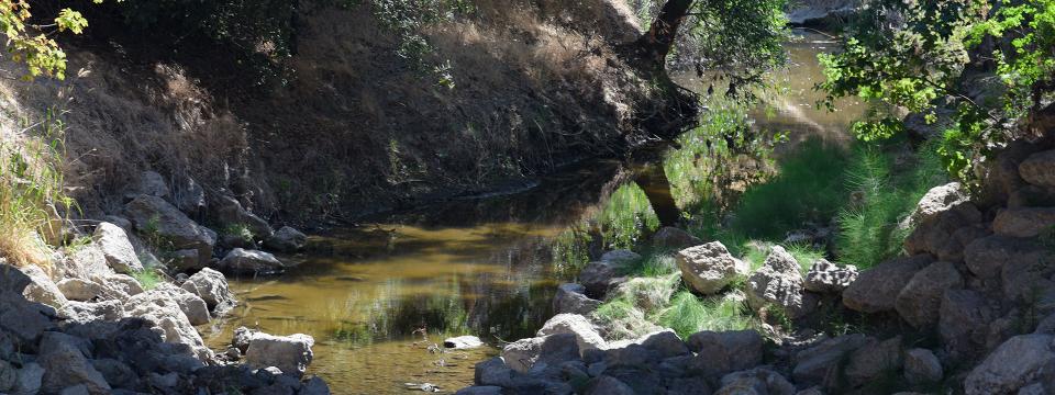 Sample habitat from Living Arroyos including stream, rocks and trees