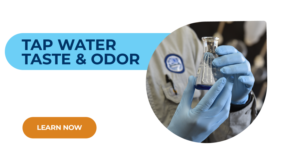 Source Water - Tap Water Taste and Odor