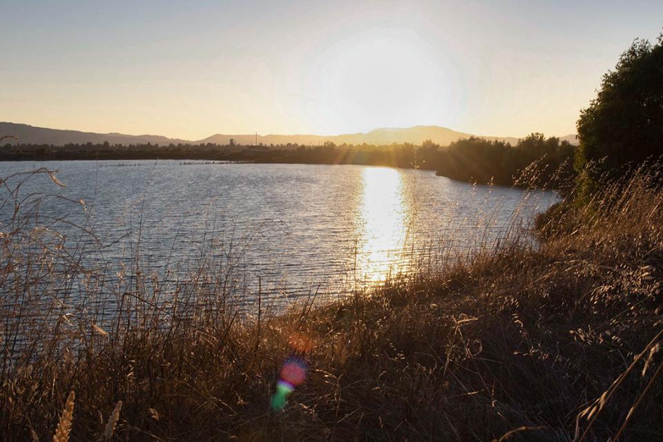 A blue lake surrounded by greenery and trees with a sunset reflected in the lake