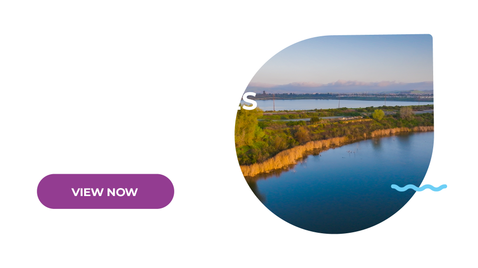 Planning for Chain of Lakes