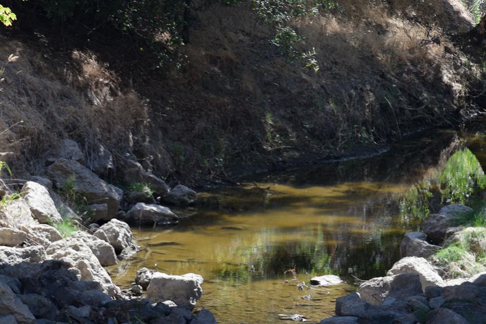 Sample habitat from Living Arroyos including stream, rocks and trees